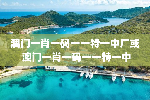 澳门一肖一码一一特一中厂或 澳门一肖一码一一特一中
