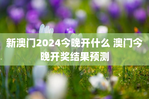zhouzuoda 第26页