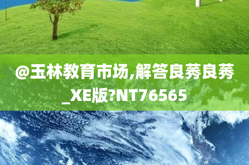 @玉林教育市场,解答良莠良莠_XE版?NT76565