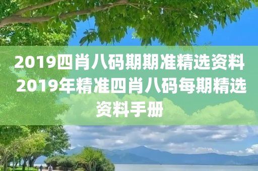huamei 第29页