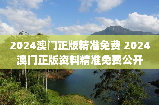 2024澳门正版精准免费 2024澳门正版资料精准免费公开