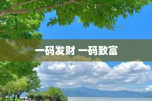 一码发财 一码致富