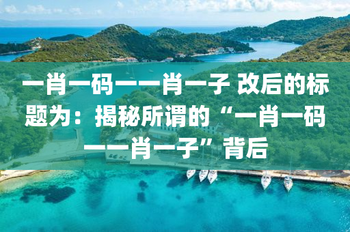 一肖一码一一肖一子 改后的标题为：揭秘所谓的“一肖一码一一肖一子”背后
