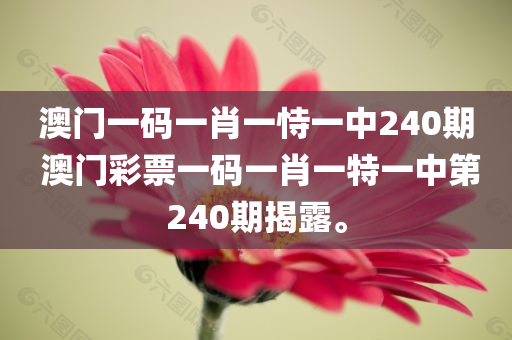 澳门一码一肖一恃一中240期 澳门彩票一码一肖一特一中第240期揭露。