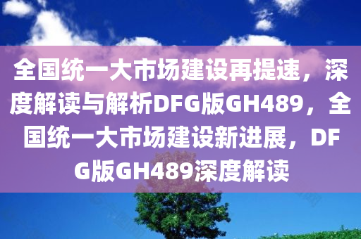 全国统一大市场建设再提速，深度解读与解析DFG版GH489，全国统一大市场建设新进展，DFG版GH489深度解读