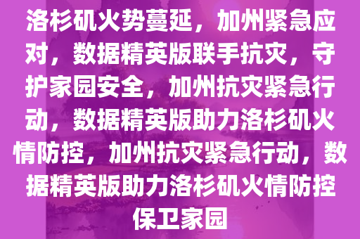 洛杉矶火势蔓延，加州紧急应对，数据精英版联手抗灾，守护家园安全，加州抗灾紧急行动，数据精英版助力洛杉矶火情防控，加州抗灾紧急行动，数据精英版助力洛杉矶火情防控保卫家园