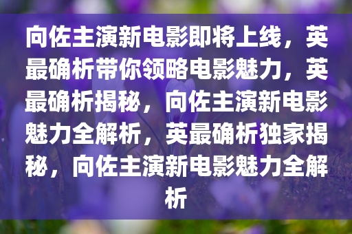 向佐主演新电影即将上线，英最确析带你领略电影魅力，英最确析揭秘，向佐主演新电影魅力全解析，英最确析独家揭秘，向佐主演新电影魅力全解析