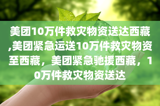 美团10万件救灾物资送达西藏,美团紧急运送10万件救灾物资至西藏，美团紧急驰援西藏，10万件救灾物资送达