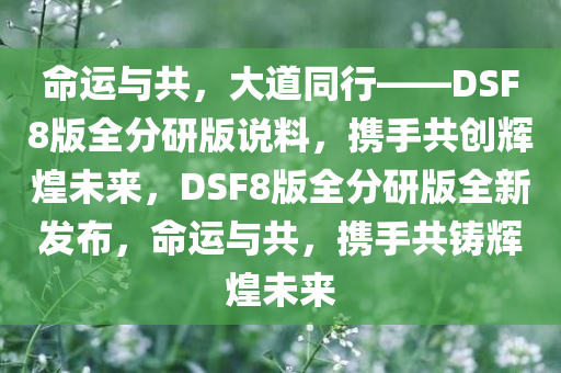 命运与共，大道同行——DSF8版全分研版说料，携手共创辉煌未来，DSF8版全分研版全新发布，命运与共，携手共铸辉煌未来