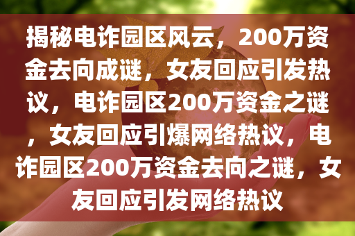 揭秘电诈园区风云，200万资金去向成谜，女友回应引发热议，电诈园区200万资金之谜，女友回应引爆网络热议，电诈园区200万资金去向之谜，女友回应引发网络热议