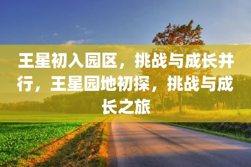 王星初入园区，挑战与成长并行，王星园地初探，挑战与成长之旅