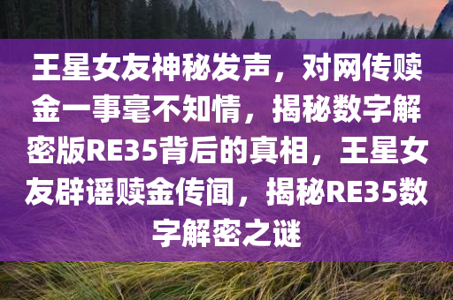 王星女友神秘发声，对网传赎金一事毫不知情，揭秘数字解密版RE35背后的真相，王星女友辟谣赎金传闻，揭秘RE35数字解密之谜