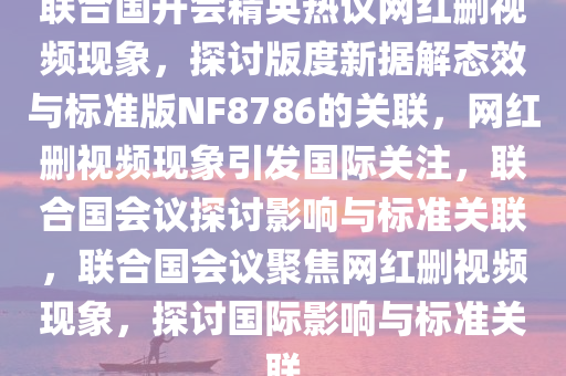 联合国开会精英热议网红删视频现象，探讨版度新据解态效与标准版NF8786的关联，网红删视频现象引发国际关注，联合国会议探讨影响与标准关联，联合国会议聚焦网红删视频现象，探讨国际影响与标准关联