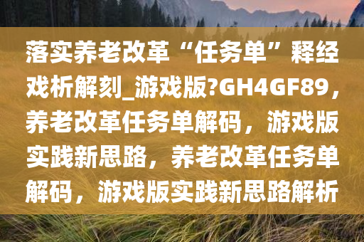 落实养老改革“任务单”释经戏析解刻_游戏版?GH4GF89，养老改革任务单解码，游戏版实践新思路，养老改革任务单解码，游戏版实践新思路解析