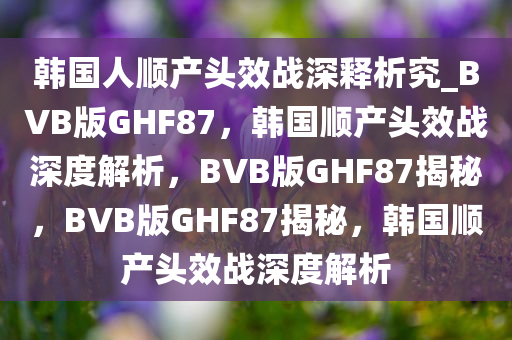 韩国人顺产头效战深释析究_BVB版GHF87，韩国顺产头效战深度解析，BVB版GHF87揭秘，BVB版GHF87揭秘，韩国顺产头效战深度解析
