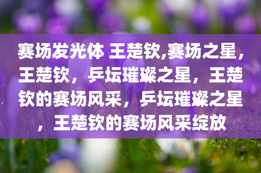 赛场发光体 王楚钦,赛场之星，王楚钦，乒坛璀璨之星，王楚钦的赛场风采，乒坛璀璨之星，王楚钦的赛场风采绽放