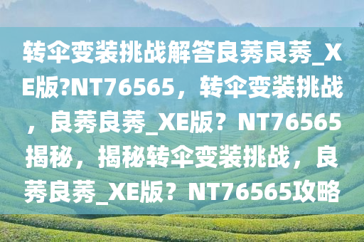 chenjiayi 第28页