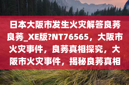 日本大阪市发生火灾解答良莠良莠_XE版?NT76565，大阪市火灾事件，良莠真相探究，大阪市火灾事件，揭秘良莠真相