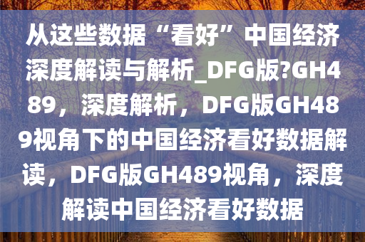 从这些数据“看好”中国经济深度解读与解析_DFG版?GH489，深度解析，DFG版GH489视角下的中国经济看好数据解读，DFG版GH489视角，深度解读中国经济看好数据