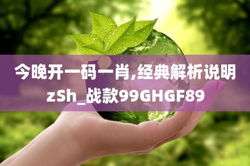 今晚开一码一肖