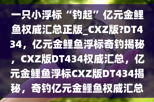 一只小浮标“钓起”亿元金鲤鱼权威汇总正版_CXZ版?DT434，亿元金鲤鱼浮标奇钓揭秘，CXZ版DT434权威汇总，亿元金鲤鱼浮标CXZ版DT434揭秘，奇钓亿元金鲤鱼权威汇总