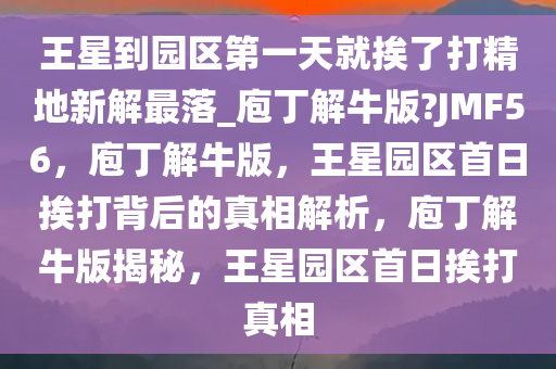 王星到园区第一天就挨了打精地新解最落_庖丁解牛版?JMF56，庖丁解牛版，王星园区首日挨打背后的真相解析，庖丁解牛版揭秘，王星园区首日挨打真相