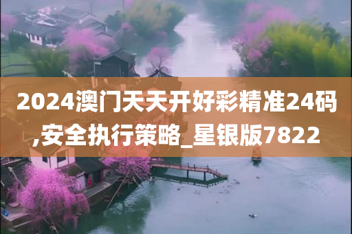 2024澳门天天开好彩精准24码,安全执行策略_星银版7822