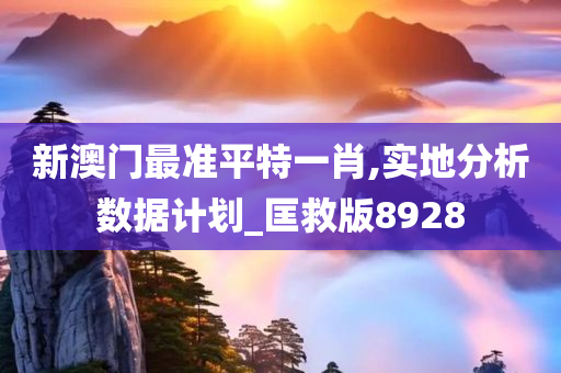 新澳门最准平特一肖,实地分析数据计划_匡救版8928