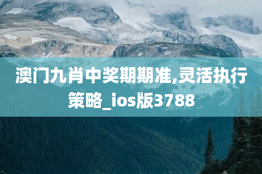 澳门九肖中奖期期准,灵活执行策略_ios版3788