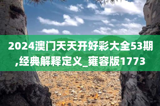2024澳门天天开好彩大全53期,经典解释定义_雍容版1773