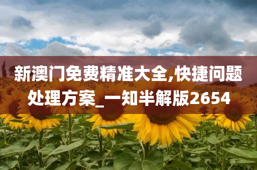新澳门免费精准大全,快捷问题处理方案_一知半解版2654