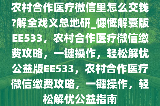 农村合作医疗微信里怎么交钱?解全戏义总地研_慷慨解囊版EE533，农村合作医疗微信缴费攻略，一键操作，轻松解忧公益版EE533，农村合作医疗微信缴费攻略，一键操作，轻松解忧公益指南