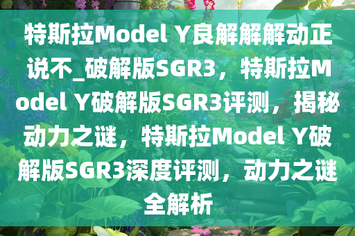 特斯拉Model Y良解解解动正说不_破解版SGR3，特斯拉Model Y破解版SGR3评测，揭秘动力之谜，特斯拉Model Y破解版SGR3深度评测，动力之谜全解析