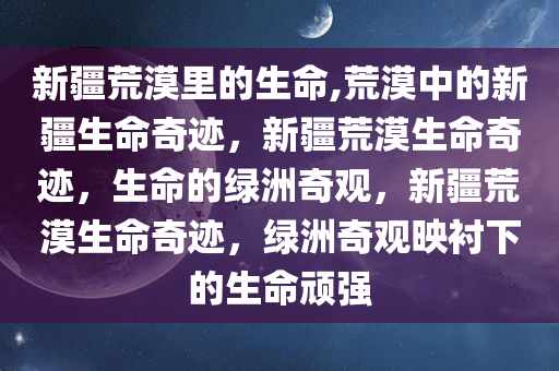 yangxinhong 第24页