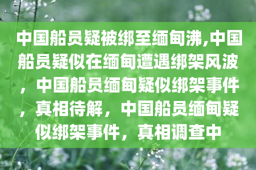 中国船员疑被绑至缅甸沸,中国船员疑似在缅甸遭遇绑架风波，中国船员缅甸疑似绑架事件，真相待解，中国船员缅甸疑似绑架事件，真相调查中