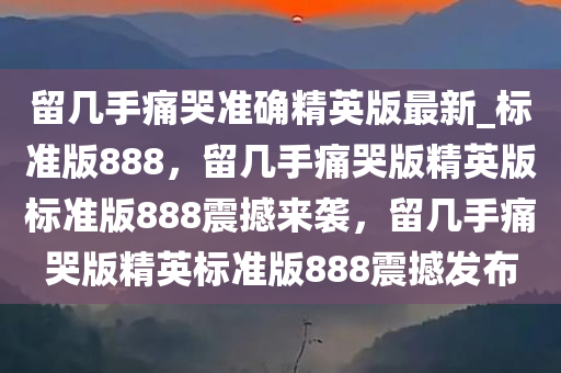 留几手痛哭准确精英版最新_标准版888，留几手痛哭版精英版标准版888震撼来袭，留几手痛哭版精英标准版888震撼发布