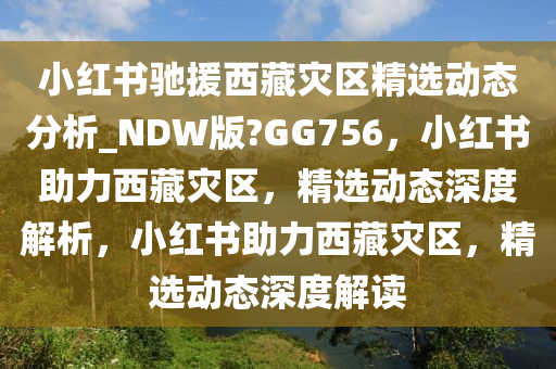 小红书驰援西藏灾区精选动态分析_NDW版?GG756，小红书助力西藏灾区，精选动态深度解析，小红书助力西藏灾区，精选动态深度解读