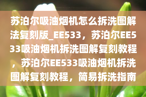 苏泊尔吸油烟机怎么拆洗图解法复刻版_EE533，苏泊尔EE533吸油烟机拆洗图解复刻教程，苏泊尔EE533吸油烟机拆洗图解复刻教程，简易拆洗指南