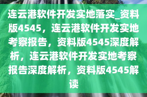 连云港软件开发实地落实_资料版4545，连云港软件开发实地考察报告，资料版4545深度解析，连云港软件开发实地考察报告深度解析，资料版4545解读
