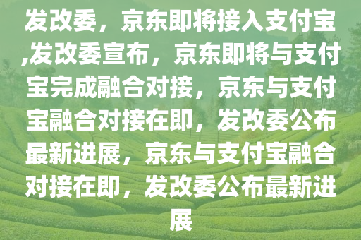 linshuhui 第26页