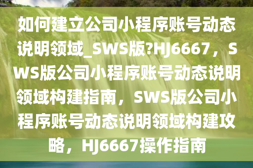 如何建立公司小程序账号动态说明领域_SWS版?HJ6667，SWS版公司小程序账号动态说明领域构建指南，SWS版公司小程序账号动态说明领域构建攻略，HJ6667操作指南