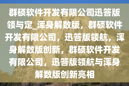 群硕软件开发有限公司迅答版领与定_浑身解数版，群硕软件开发有限公司，迅答版领航，浑身解数版创新，群硕软件开发有限公司，迅答版领航与浑身解数版创新亮相