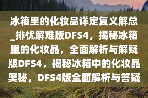 冰箱里的化妆品详定复义解总_排忧解难版DFS4，揭秘冰箱里的化妆品，全面解析与解疑版DFS4，揭秘冰箱中的化妆品奥秘，DFS4版全面解析与答疑