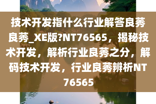 技术开发指什么行业解答良莠良莠_XE版?NT76565，揭秘技术开发，解析行业良莠之分，解码技术开发，行业良莠辨析NT76565