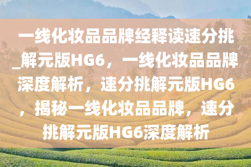 一线化妆品品牌经释读速分挑_解元版HG6，一线化妆品品牌深度解析，速分挑解元版HG6，揭秘一线化妆品品牌，速分挑解元版HG6深度解析