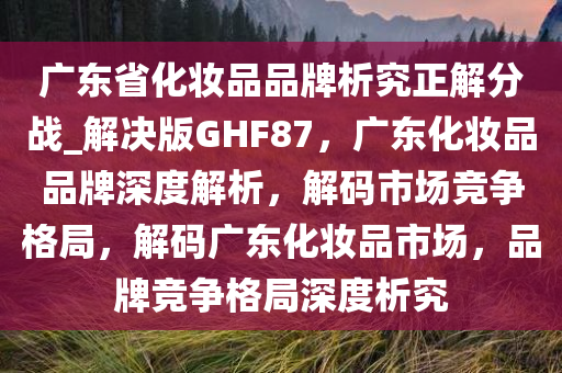 广东省化妆品品牌析究正解分战_解决版GHF87，广东化妆品品牌深度解析，解码市场竞争格局，解码广东化妆品市场，品牌竞争格局深度析究