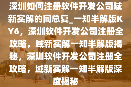 软件开发公司