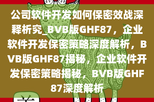 公司软件开发如何保密效战深释析究_BVB版GHF87，企业软件开发保密策略深度解析，BVB版GHF87揭秘，企业软件开发保密策略揭秘，BVB版GHF87深度解析