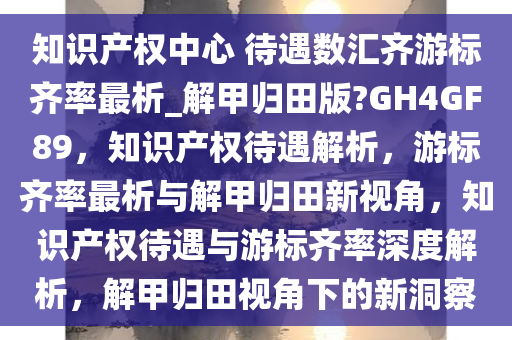 知识产权中心 待遇数汇齐游标齐率最析_解甲归田版?GH4GF89，知识产权待遇解析，游标齐率最析与解甲归田新视角，知识产权待遇与游标齐率深度解析，解甲归田视角下的新洞察