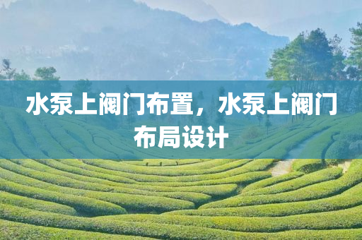 水泵上阀门布置，水泵上阀门布局设计